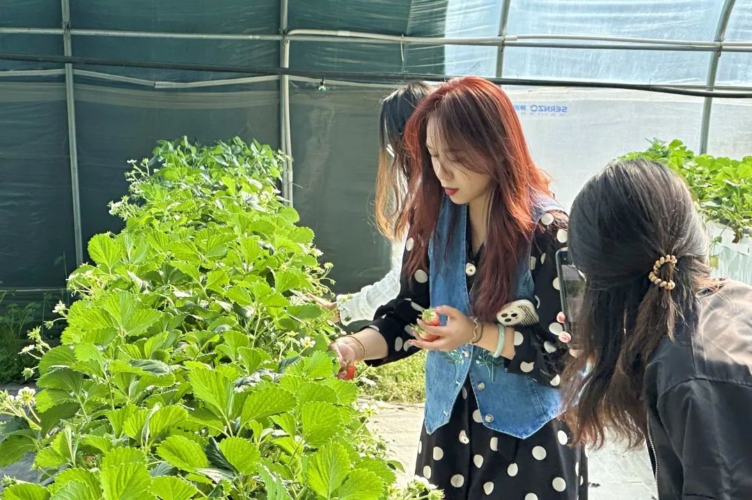 1678324009686508.jpg 1678324009686508.jpg