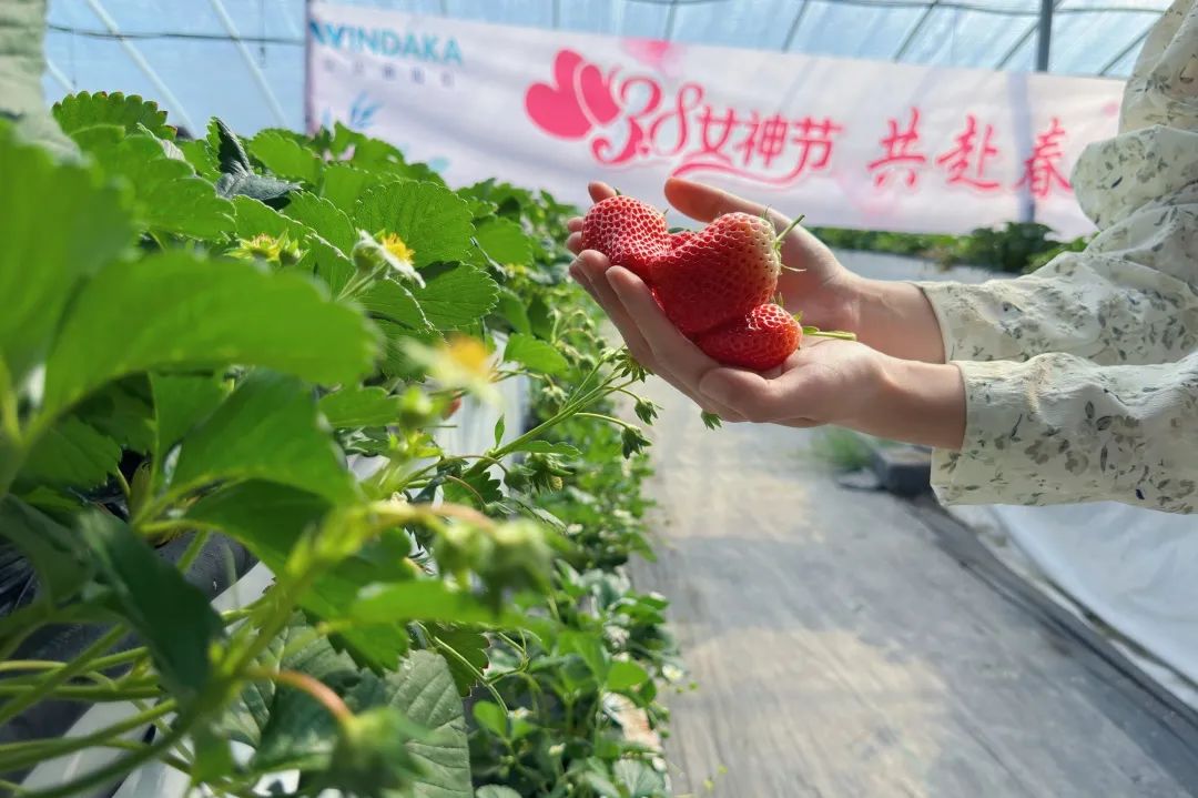 1678324034252670.jpg 1678324034252670.jpg